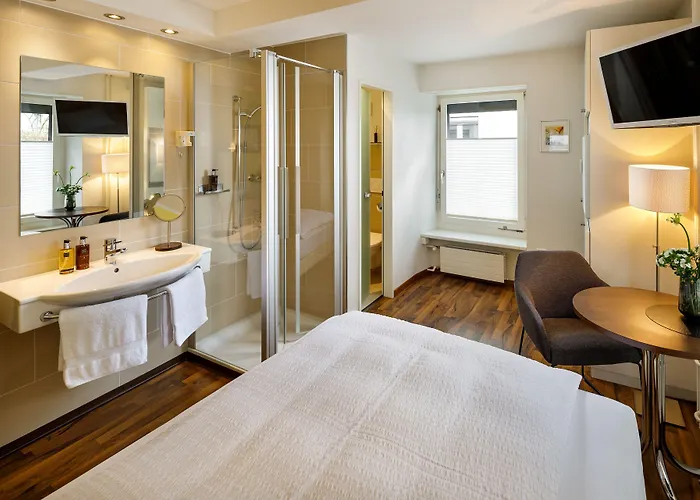 施密特家庭酒店 苏黎世