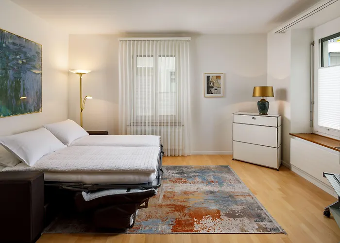 施密特家庭酒店 酒店 苏黎世